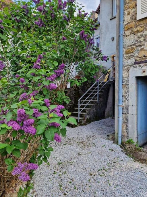Le Lynx Boreal, Centre Historique Avec Jardin Lons-le-Saunier Extérieur photo